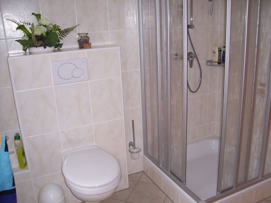 Modernes Badezimmer mit Dusche